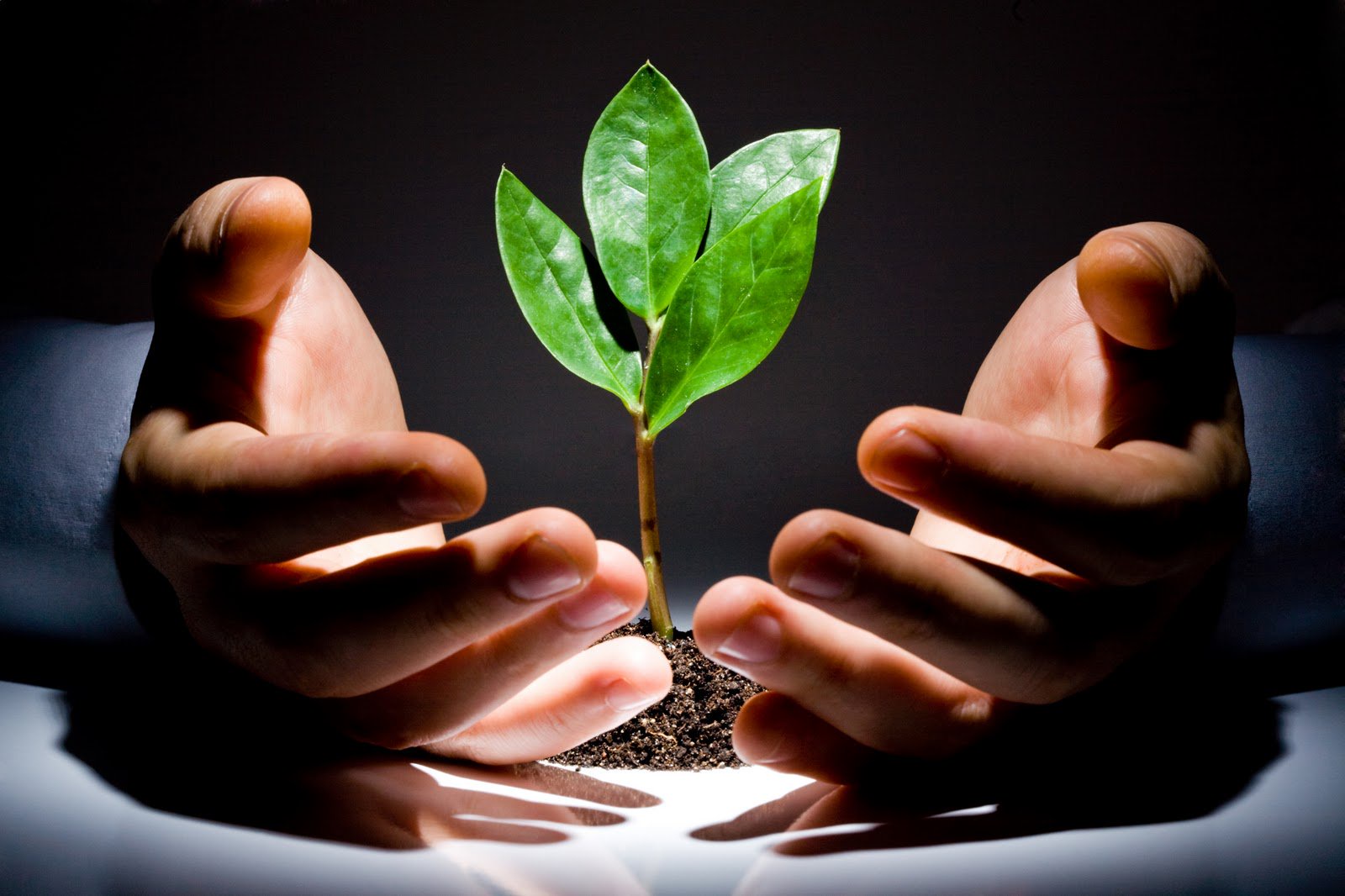 6 Amazing Secrets to Attract Investors for Your Small Business