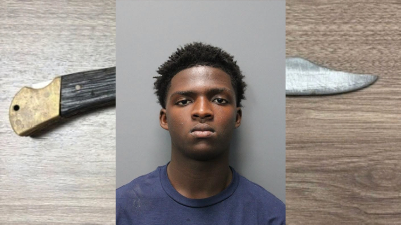 Florida 14-Year-Old Accused of Pulling Knife After Fight at High School