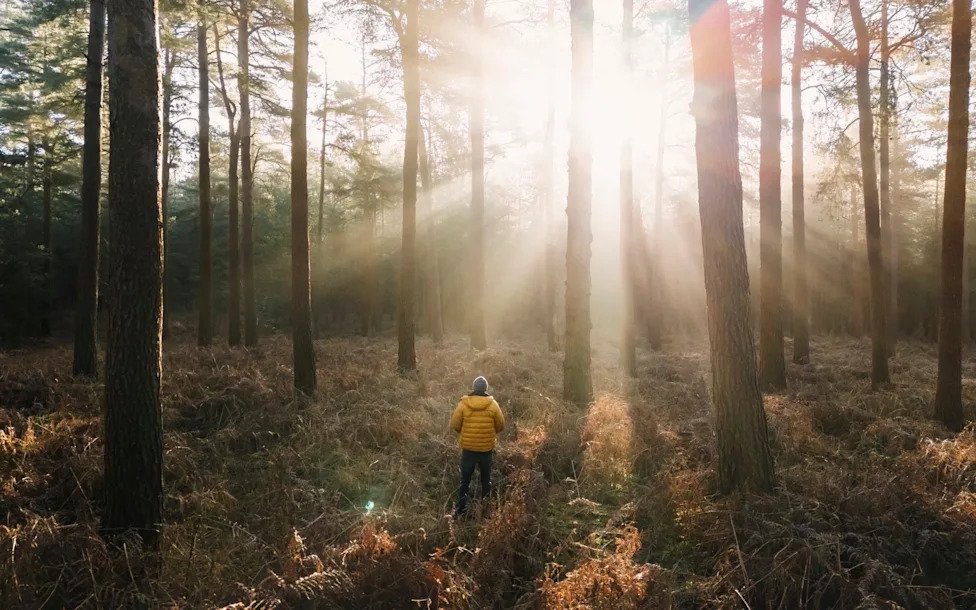 The 10 best walks in Norfolk