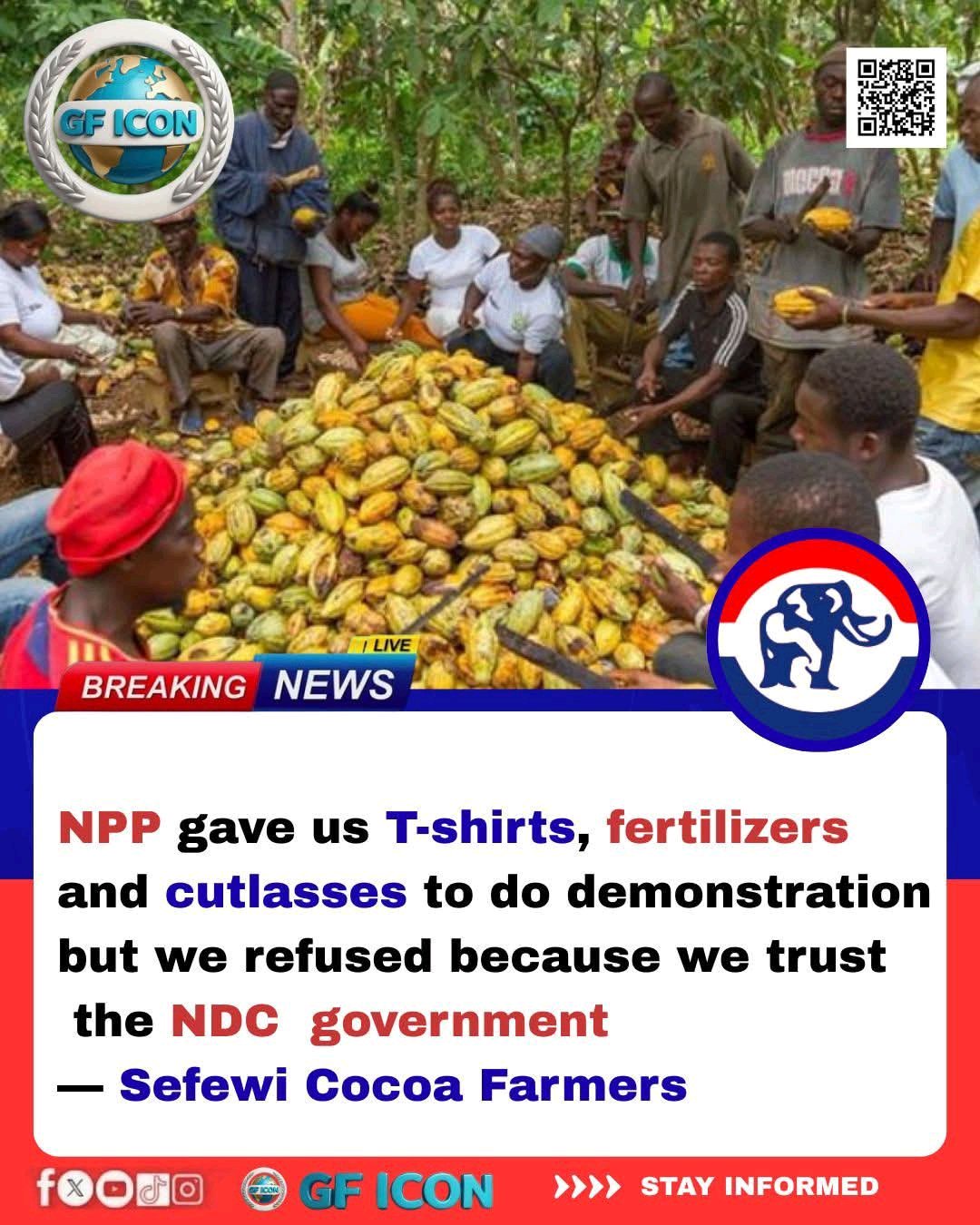 Cocoa Farmers Reject Alleged NPP Incentives To Protest Government Policies