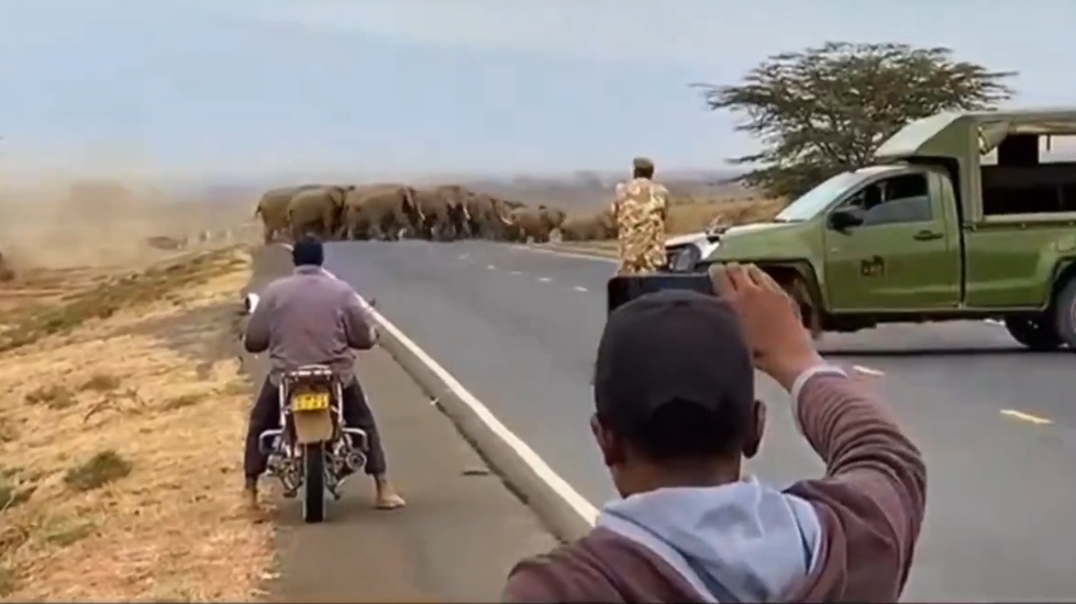 What Was Spotted Along Mombasa Road That Has Left People Talking
