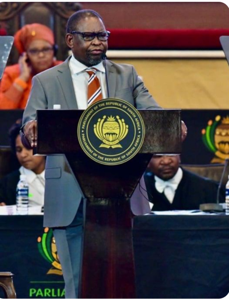 Godongwana Announces Temporary Fuel Levy Cuts as South Africans Call for More Relief
