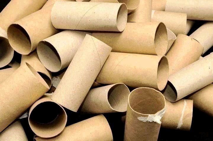 Do Not Throw Away Toilet Paper Rolls, This Is How You Can Reuse Them