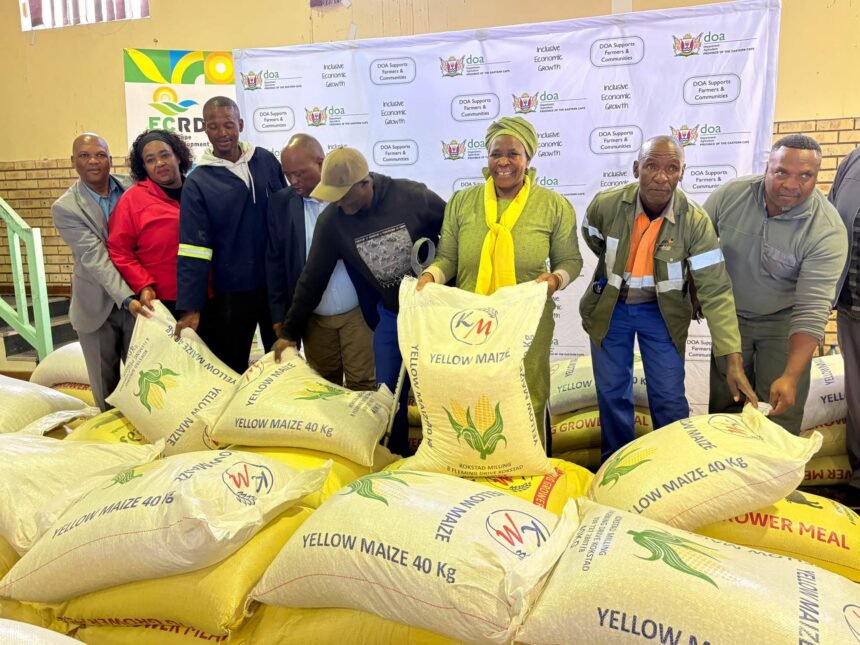 MEC Nonceba Kontsiwe Urges Young People to Take Agriculture Seriously and Strengthen Food Security