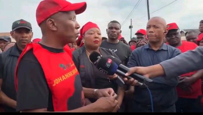 Malema Sends Strong Warning to Zuma, Says He Will Continue Fighting Until He Goes to Jail