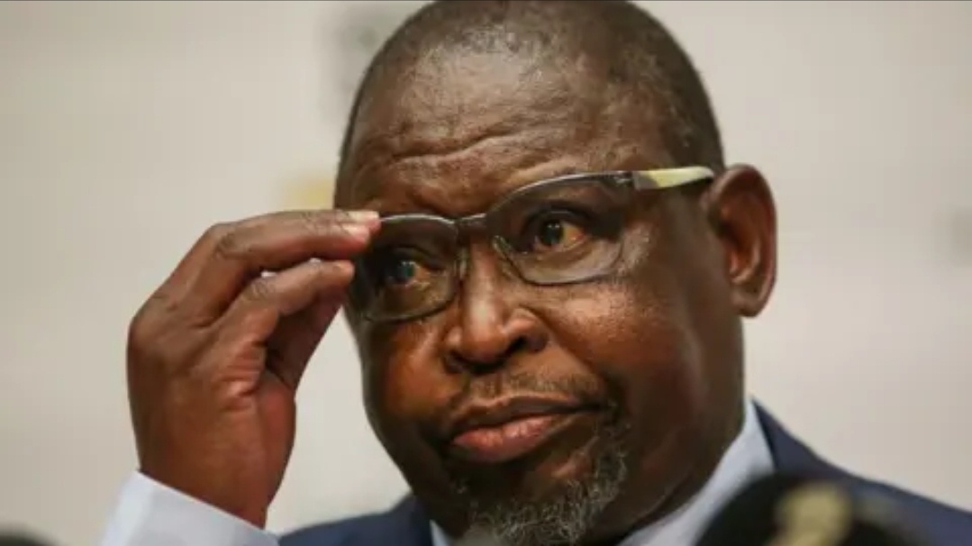 Godongwana Announces Temporary Fuel Levy Cut to Ease Pressure on South African Motorists