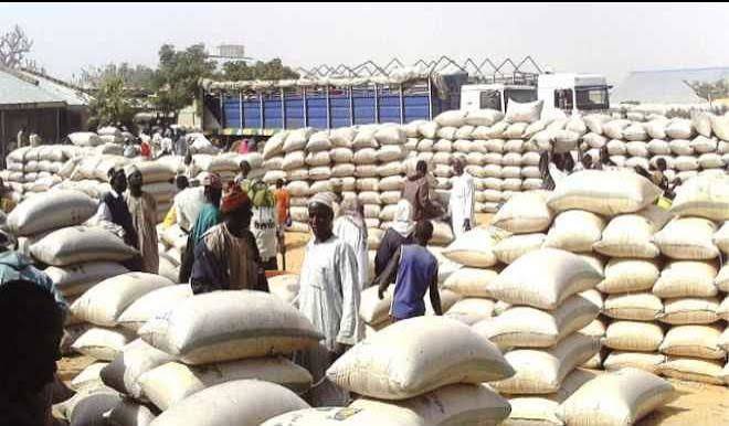 Kano Govt Shuts Down Warehouses in West Africa’s Biggest Grain Market