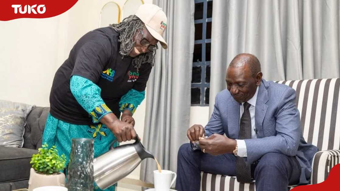 Good News for Dairy Farmers as Ruto Announces New Milk Price of KSh 65 Per Litre
