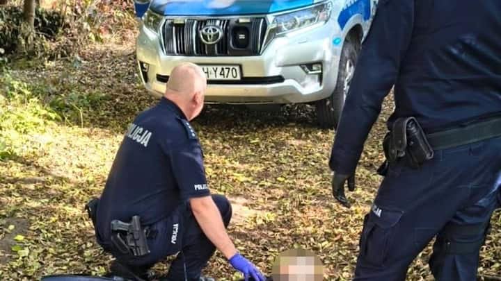 Seven injured in knife attack at Poland high school, 19-year-old student arrested