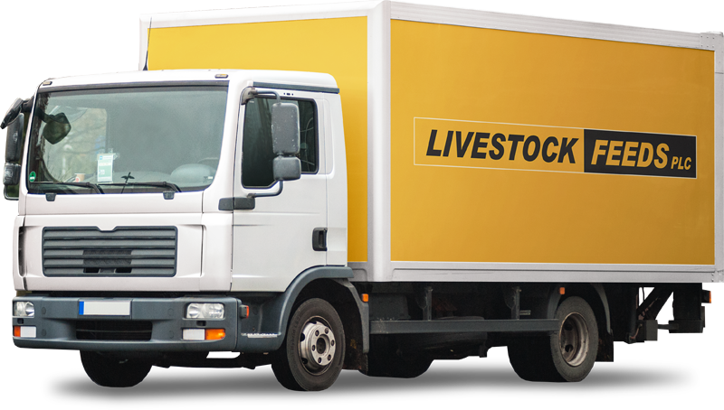 Livestock Feeds Falls 9.8% After More Than Doubling in Two Weeks
