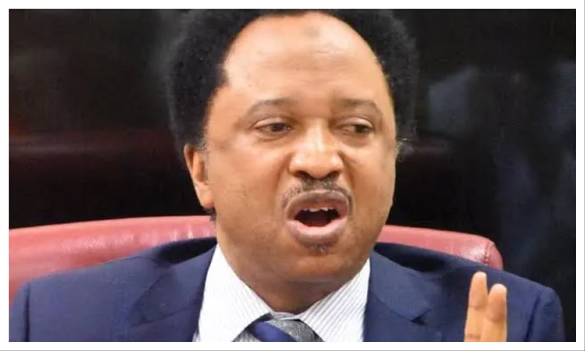 Your attacks on Nigeria will hurt you in UK – Shehu Sani knocks Kemi Badenoch