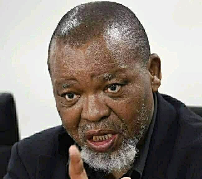 ANC Tensions Rise as Mantashe Faces Corruption Allegations