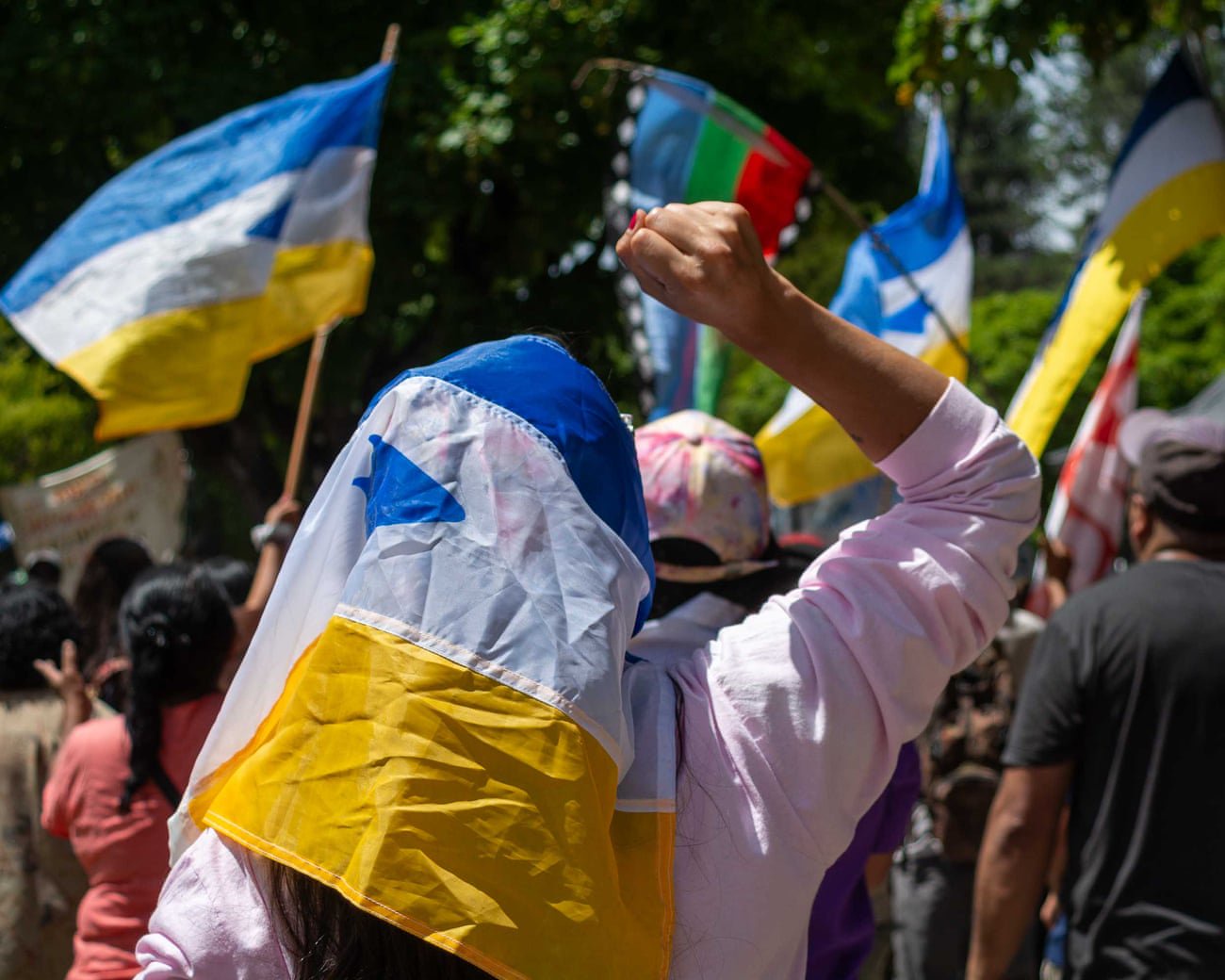 ‘They take our water, our soil’: protesters fight ‘foreignisation’ as Javier Milei encourages land sales in Argentina