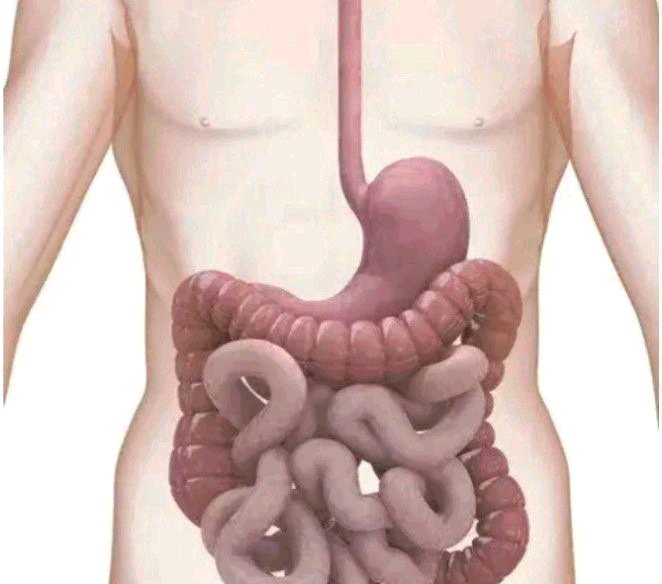 4 drinks you should take regularly to clean your stomach