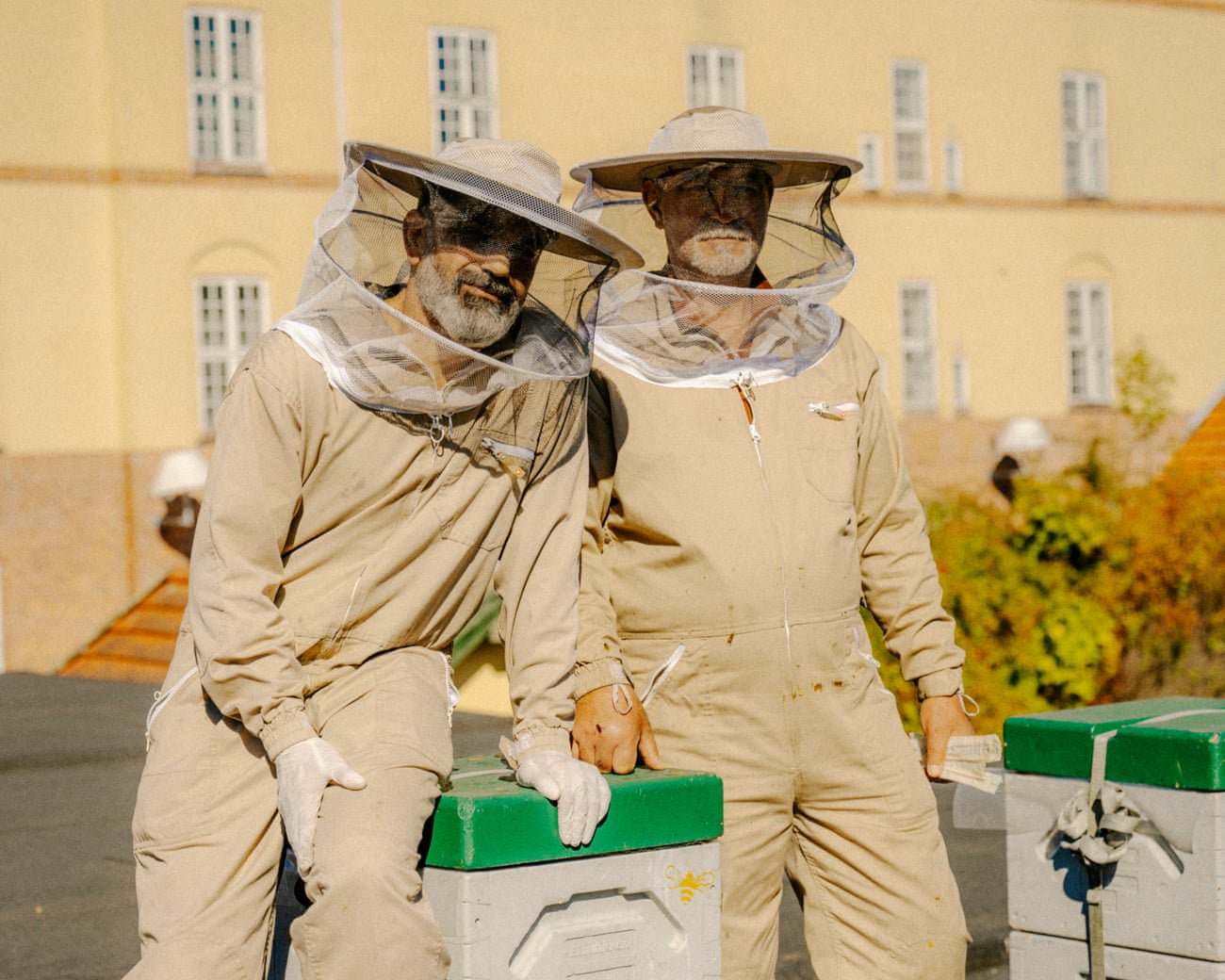 Is the modern economic system broken? These urban beekeepers think so – and this is their solution