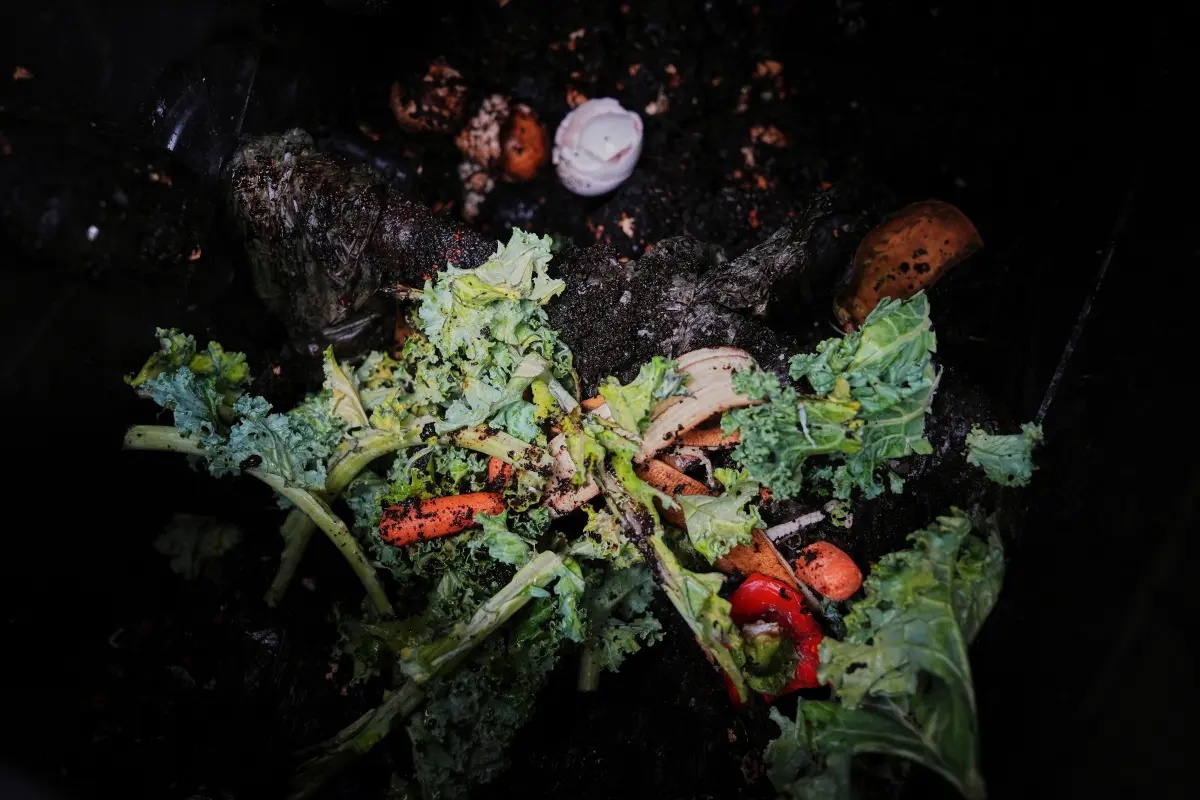 Budding food scrap businesses want your coffee grounds and eggshells