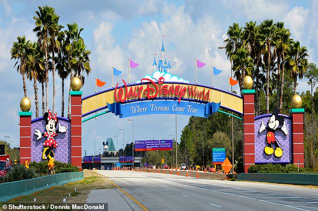 The bizarre Disney rules that can get you kicked out of its famous theme parks, from a ban on grown-up costumes to strict rules on proposals