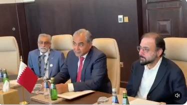 Naqvi holds key meetings with Spanish, Lebanese and Syrian ministers in Doha
