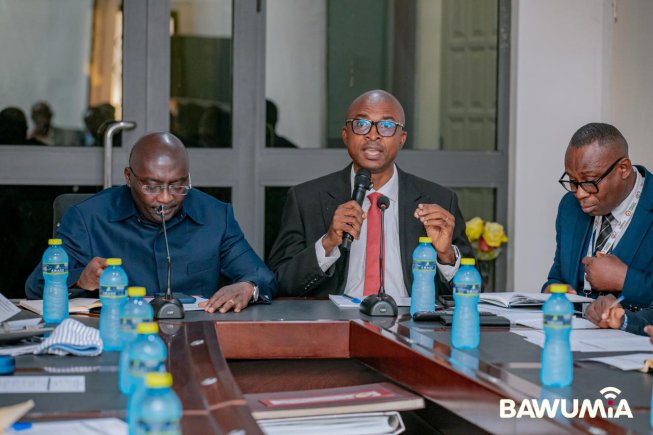Bawumia consults Pharmacy Society of Ghana