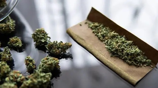 How much is the cannabis industry in SA really worth?
