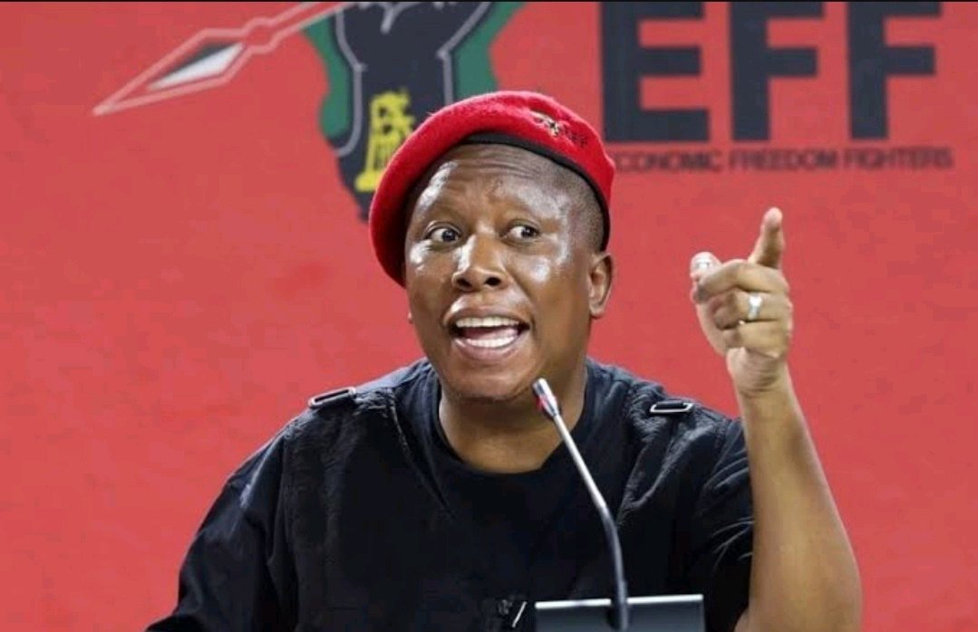 Julius Malema Calls Helen Zille a Racist During SABC News Interview