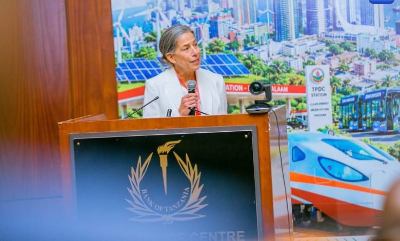 Tanzania needs 20bn US dollars for climate change, but World Bank urges attention in financing gap