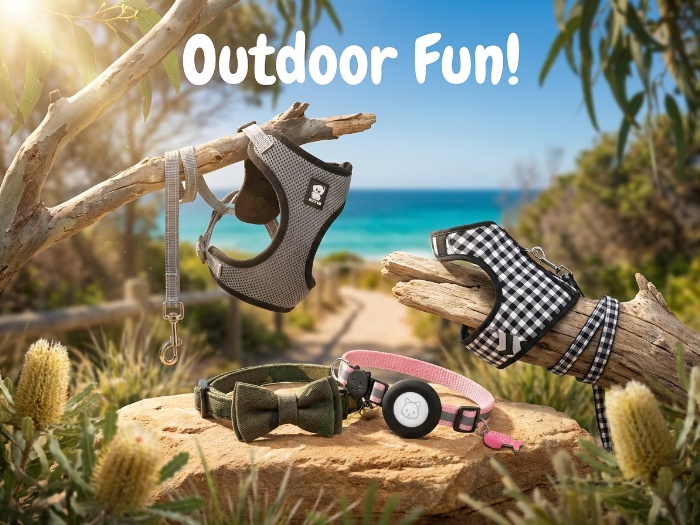 Essential Gear for Pet Adventures: Collars, Harnesses, and Leads