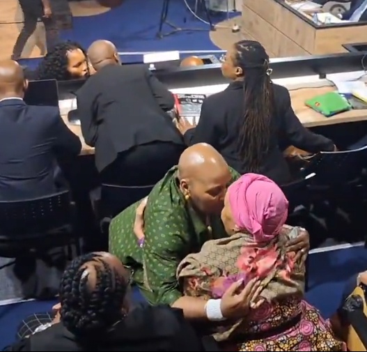 Nosiviwe Mapisa-Nqakula kisses women on the mouth at the Khampepe Commission