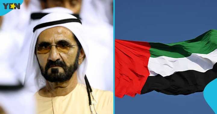 UAE Lists African Countries Whose Citizens Can Get Special Visa for 60 Days