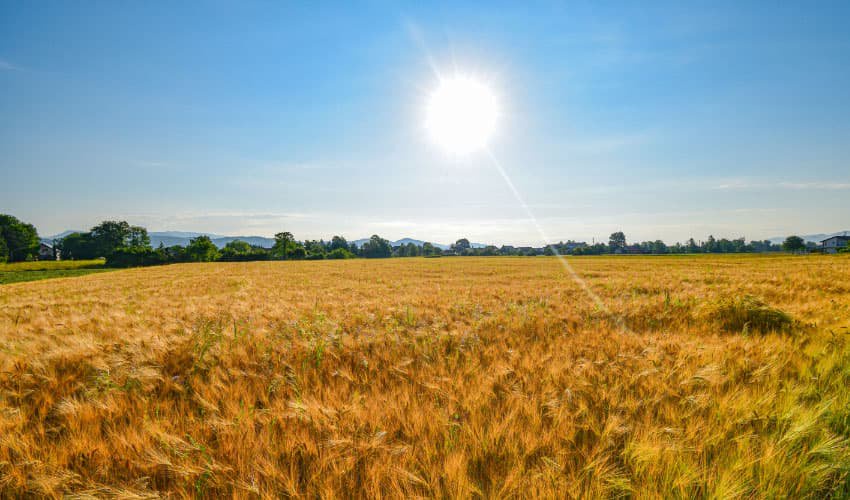 September 2026 second-warmest on record globally