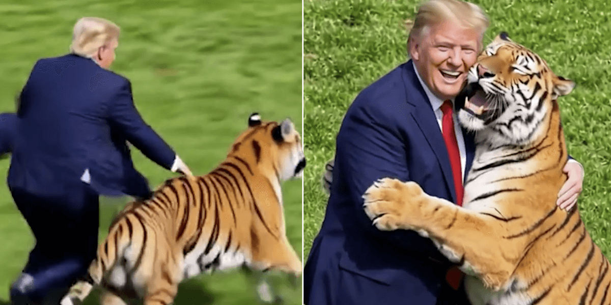 Donald Trump posts bizarre AI video showing him tackle and hug tiger following Yorkshire zoo death