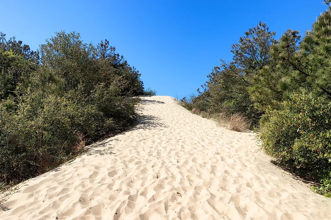 Best Natural Wonders To Visit On The Atlantic Coast This Year