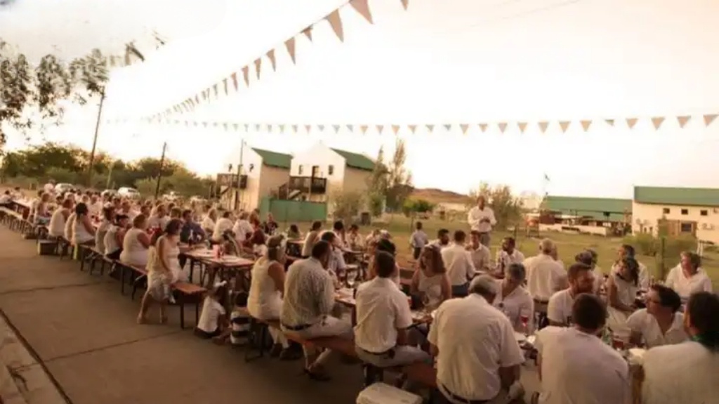 ​How Orania’s Tree Planting Initiative Is Transforming the Karoo Landscape