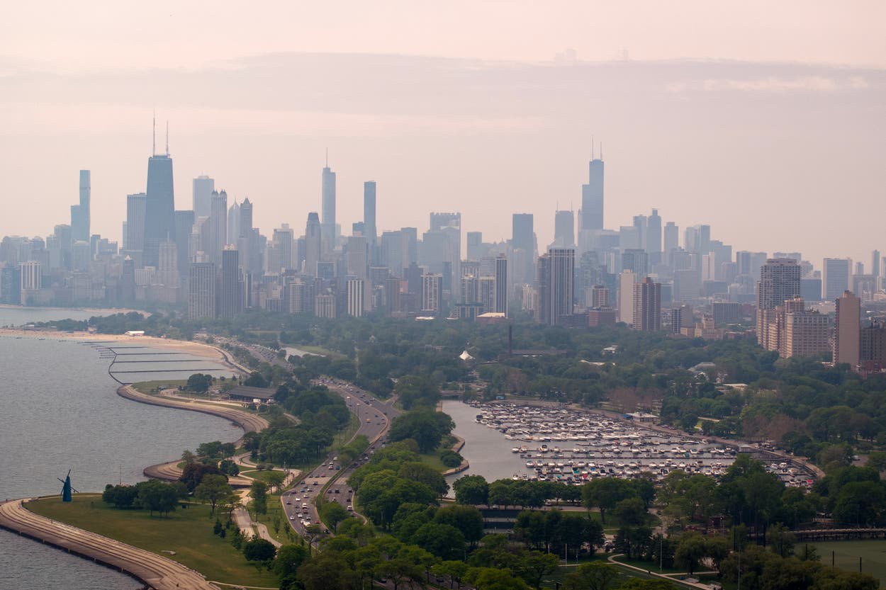 More than 1,000 birds injured or killed over the weekend in Chicago after flying into buildings