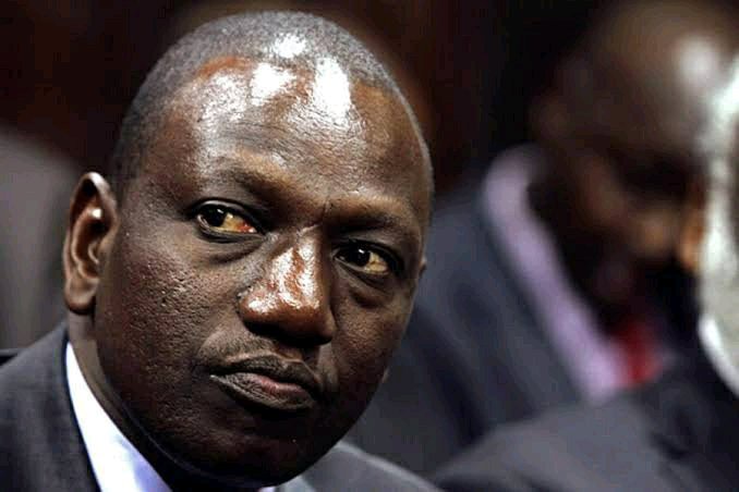 Bad News To Ruto As The Following Details Emerge About Maina Njenga Ahead Of 2027
