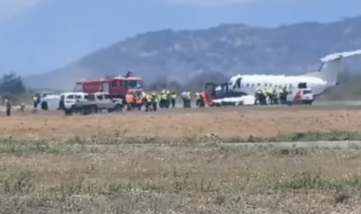 Tanzania safari plane carrying 30 faces emergency after striking and killing zebra