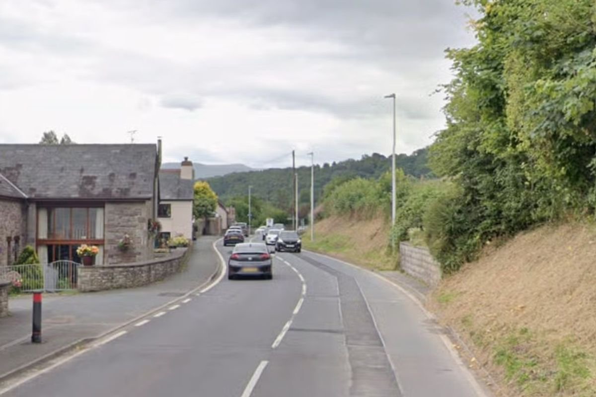 Driver and dog die after Audi smashes into car and goes up in flames