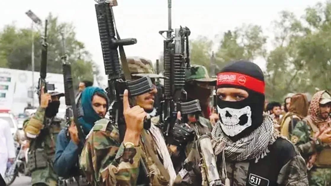 The mask slips: TTP’s political sympathies laid bare