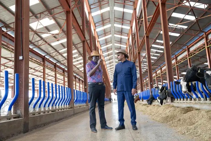 Inside William Ruto’s 98-Acre Koilel Farm Where Abiy Ahmed Toured After Mashujaa Day