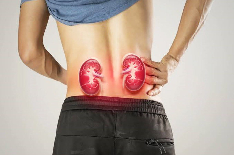 Ways To Keep Your Kidneys Healthy