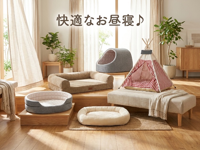 ペットの快適な空間を実現するベッドセレクション！