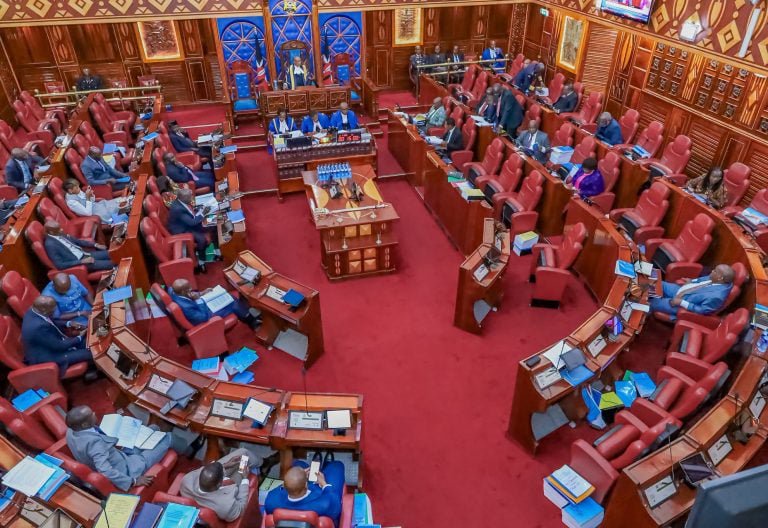 Elections Amendment Bill returns to Senate amid confusion over livestreaming of results ban