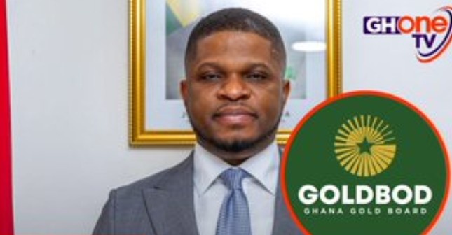 Sammy Gyamfi Explains How GoldBod Uses Foreign Currency From Gold Exports