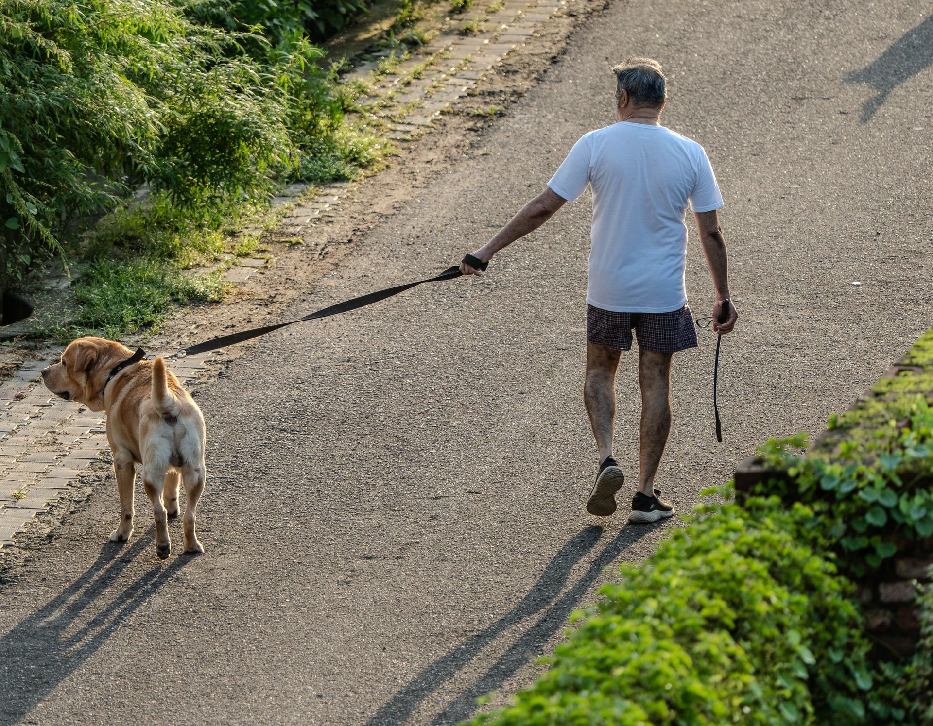 20 things that happen to your body when you walk 10,000 steps a day for a month