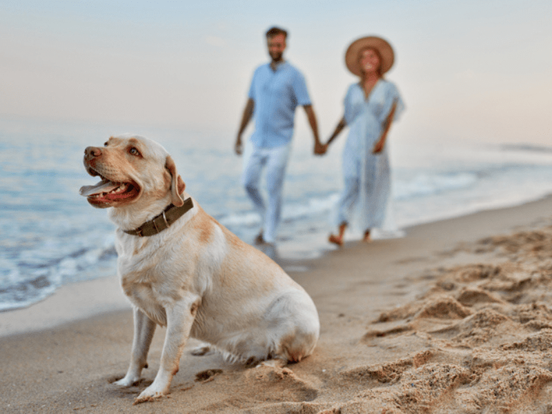 Healthy habits to help reset your mind and body