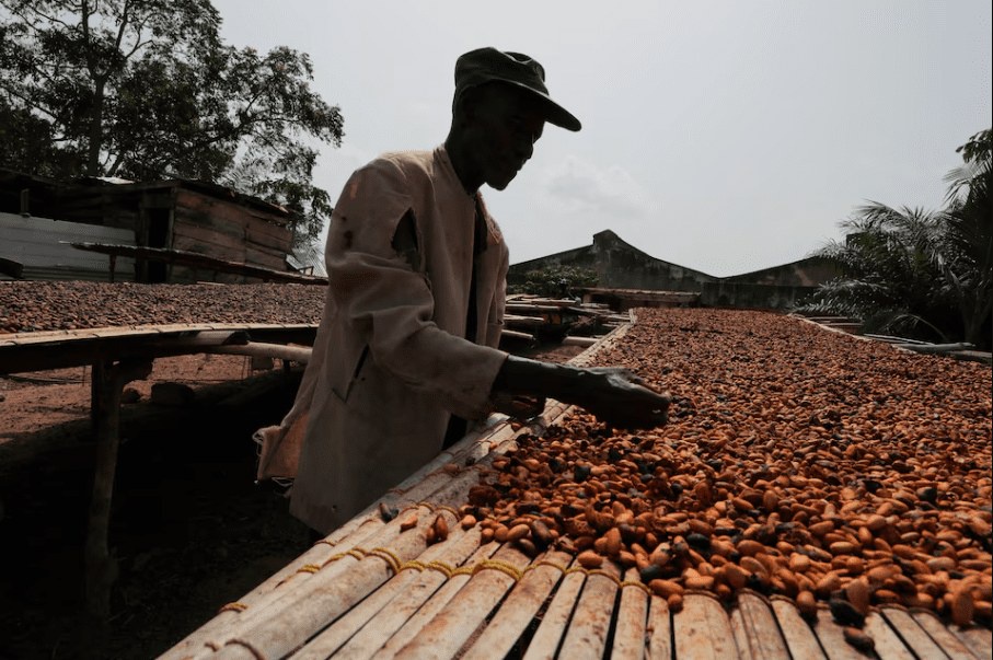 Ghana Targets 50% Local Cocoa Processing in New York Investor Pitch