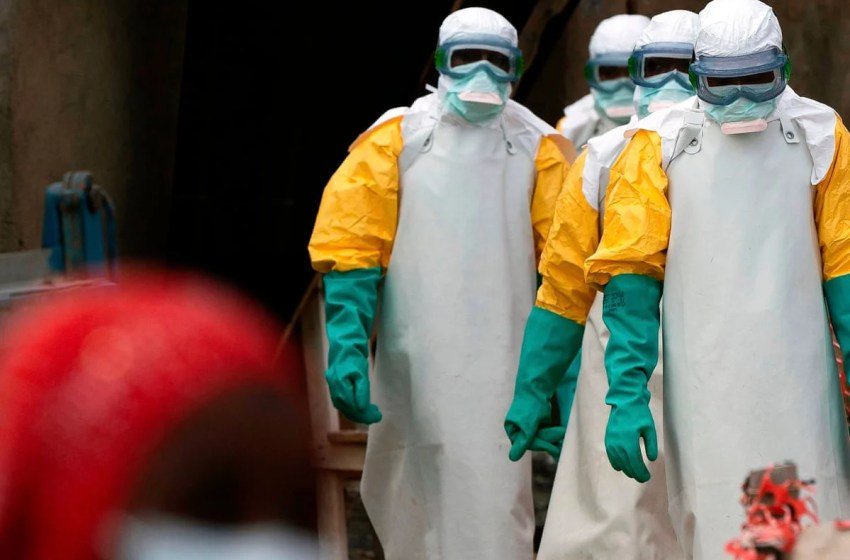 Ebola Outbreak: Postgraduate Students Demand Funding for Local Vaccine Research