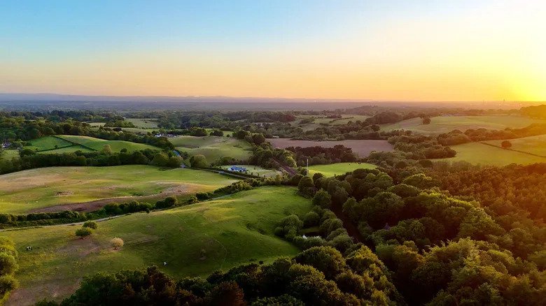 Outside Liverpool Sits England’s Idyllic Forest Escape With Family Fun, Scenic Trails, And Lake Views