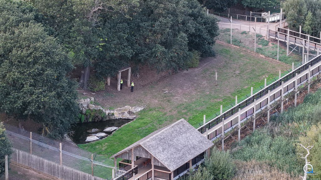 I took tiger maul victim’s photo seconds before he leapt into enclosure, reveals shocked eyewitness to zoo horror