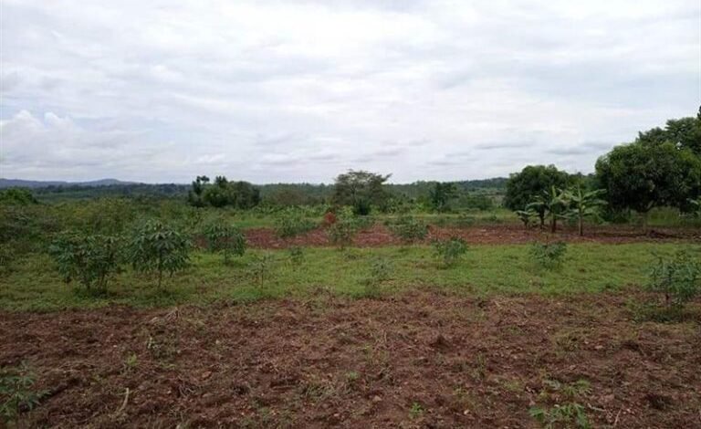 Kongwa suspends leaders over alleged land sales
